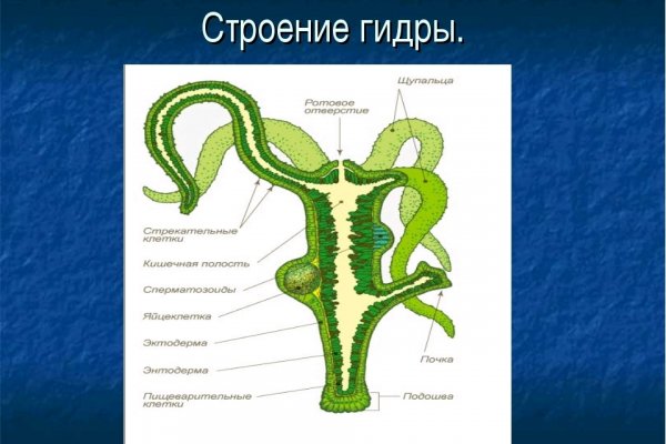 Кракен как зарегистрироваться