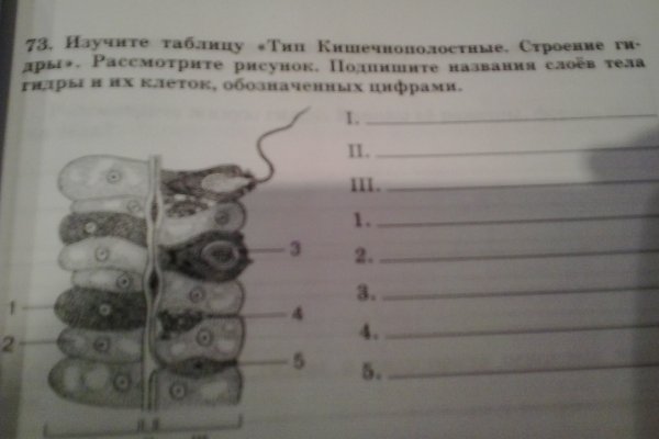 Сайт kraken зеркала