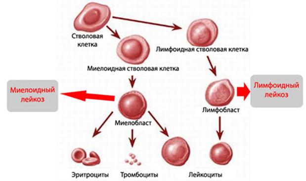 Ссылка на кракен зеркало